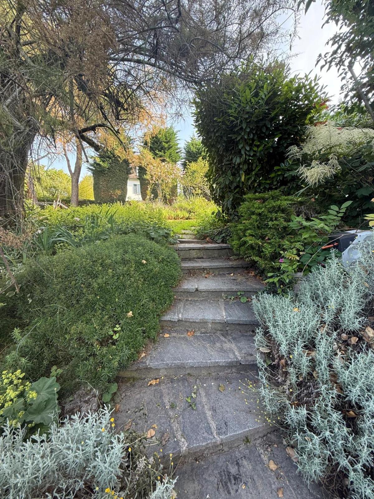 Laura Bed & Breakfast Lausanne